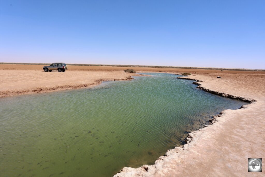 The only way to reach the very remote Imlili oasis is with a knowledgeable local guide in a 4WD vehicle.