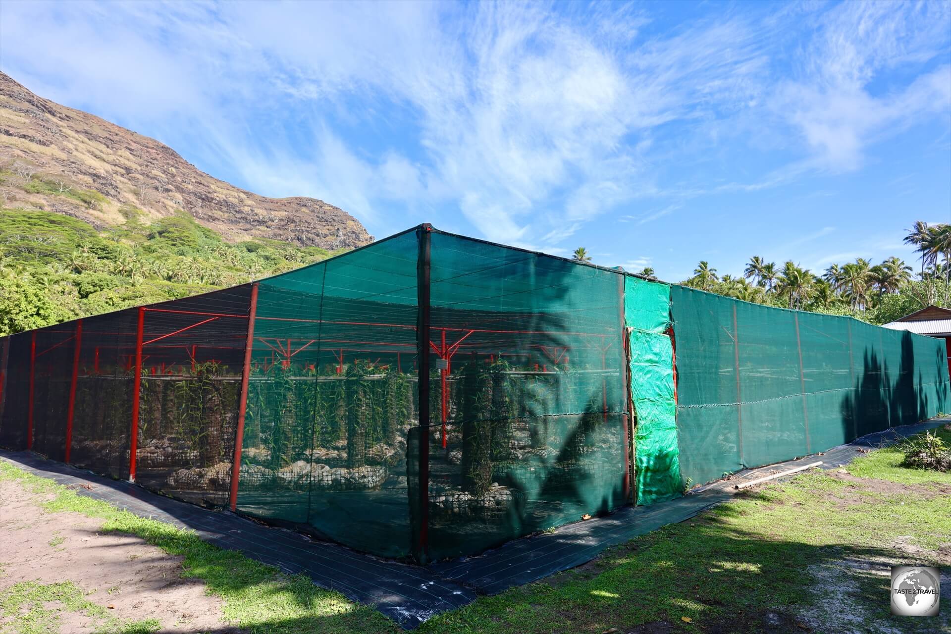 A real gold mine - the immaculate vanilla plantation Akamaru Vanilla Farm.