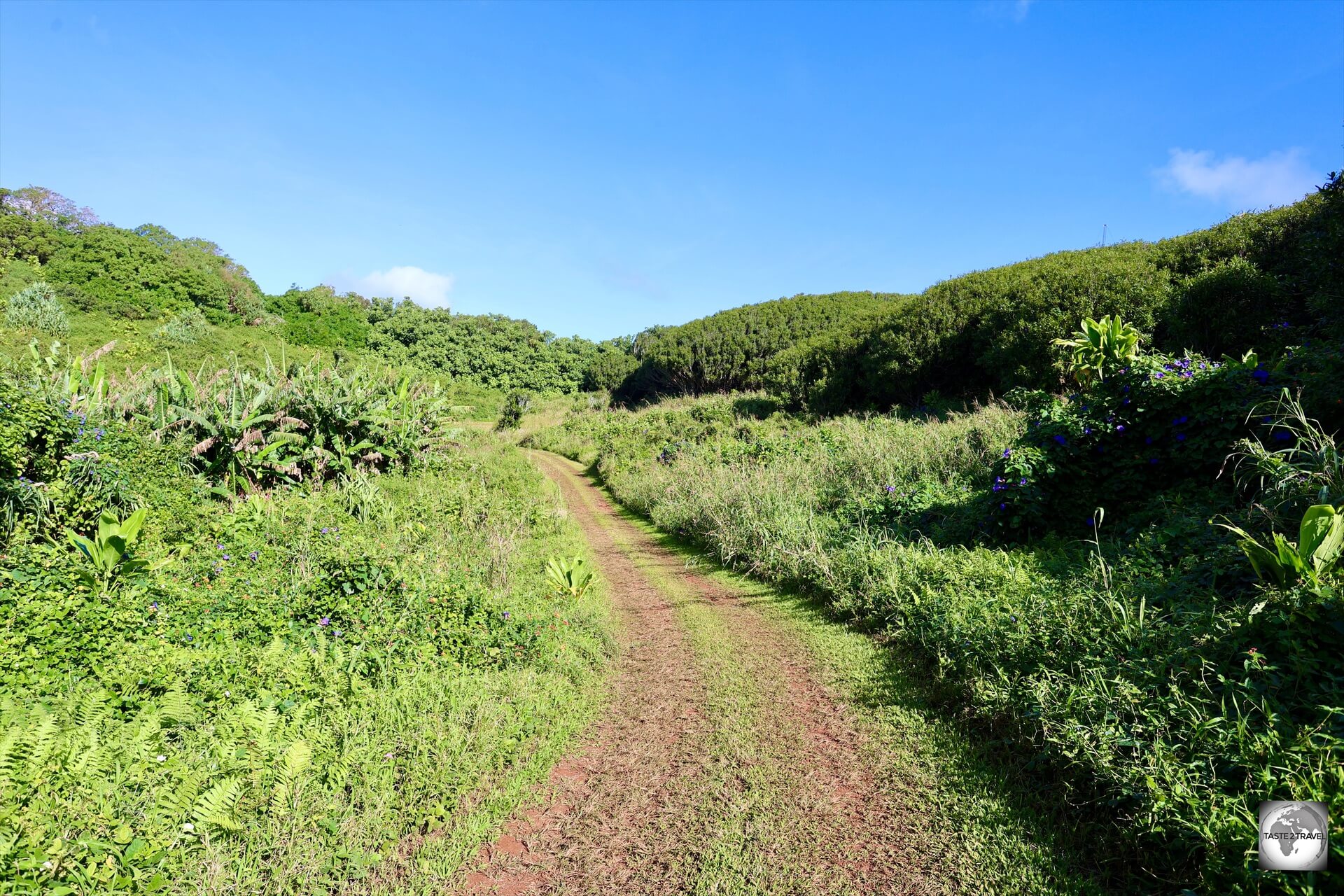 A typical country lane on Pitcairn Island. 