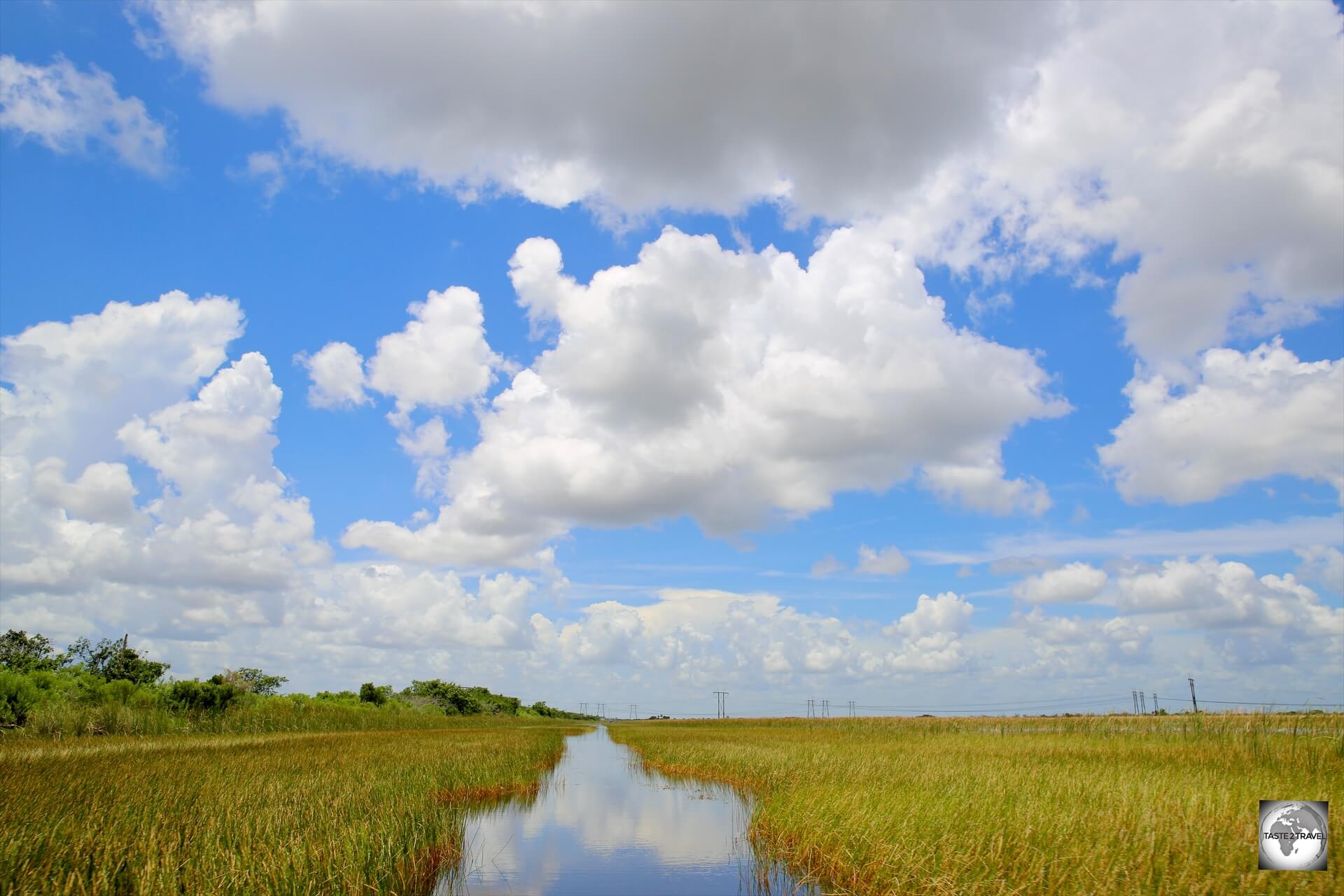 USA_Everglades Park near Fort Lauderdale.