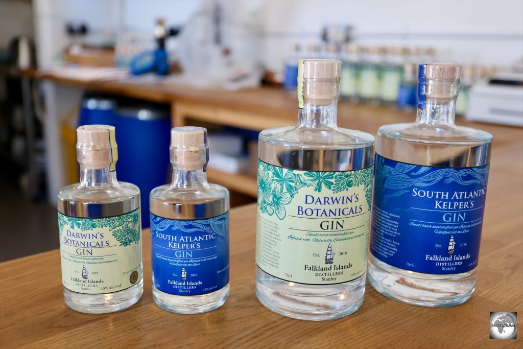A selection of gins which are produced by the Falkland Islands Distillers using mostly local products.