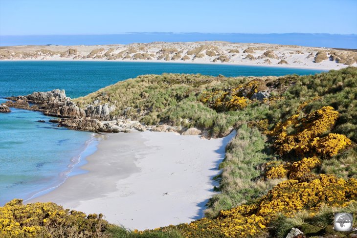 A view of Gypsy Cove with the sandy expanse of Yorke Bay in the background.