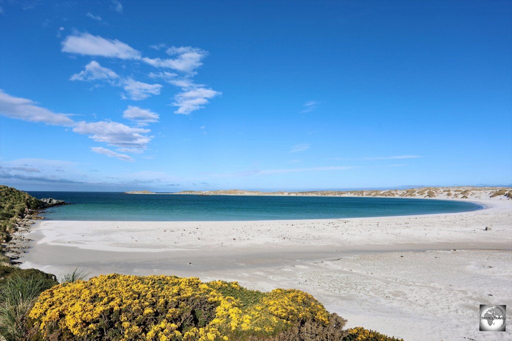 Beautiful Yorke Bay was heavily mined by Argentine forces during the Falklands War.