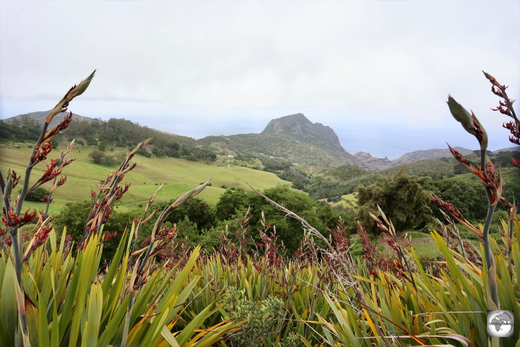 Views of the Saint Helena countryside from the road to Blue Point.