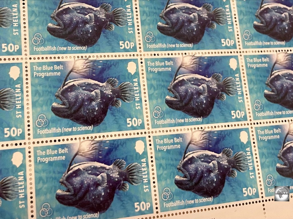 The stamps of Saint Helena feature the rich marine life which can be found in the waters which surround the island.