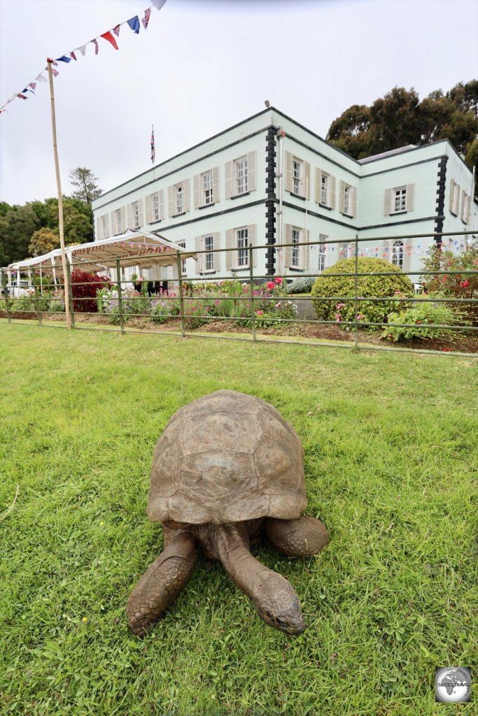 At 193 years old, Jonathan the Tortoise is the oldest resident on Saint Helena and one of the island's star attractions.