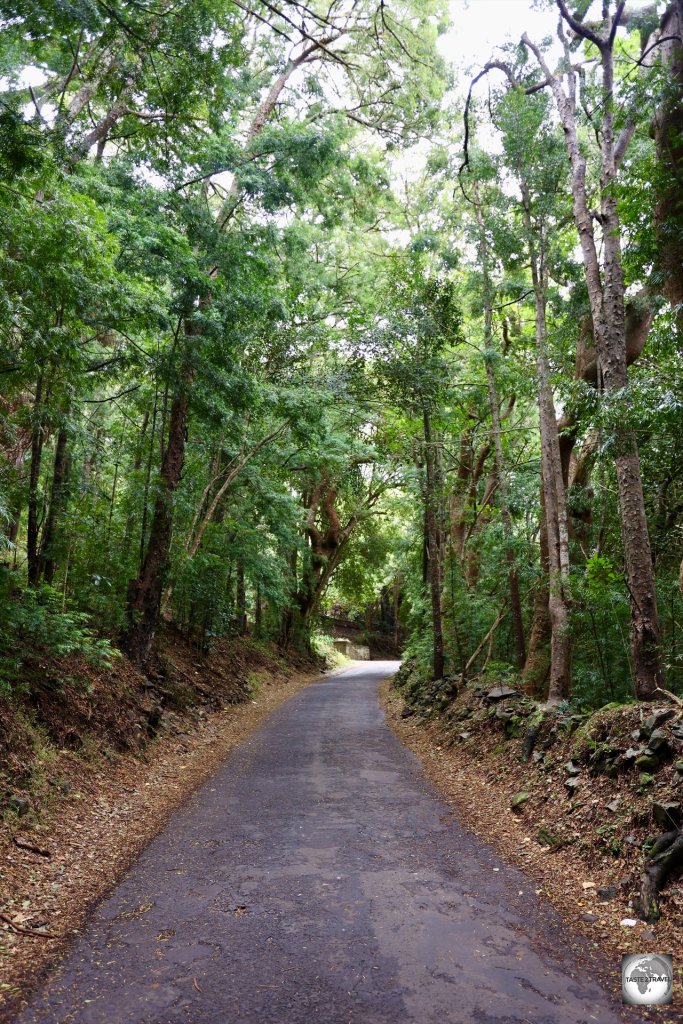 A country lane on Saint Helena.