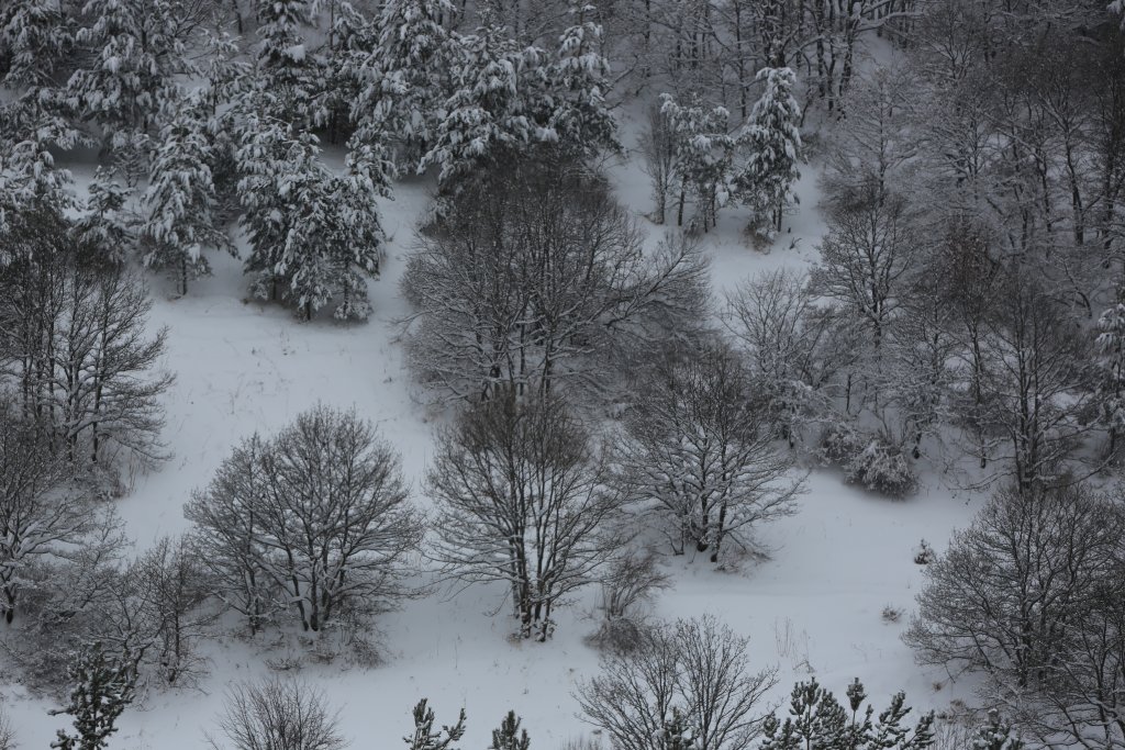 A view of the monochrome winter landscape at "Arthurs Aghveran Resort".