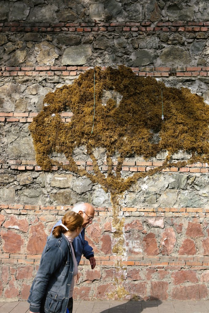 Organic street art in downtown Tbilisi, the capital of Georgia.