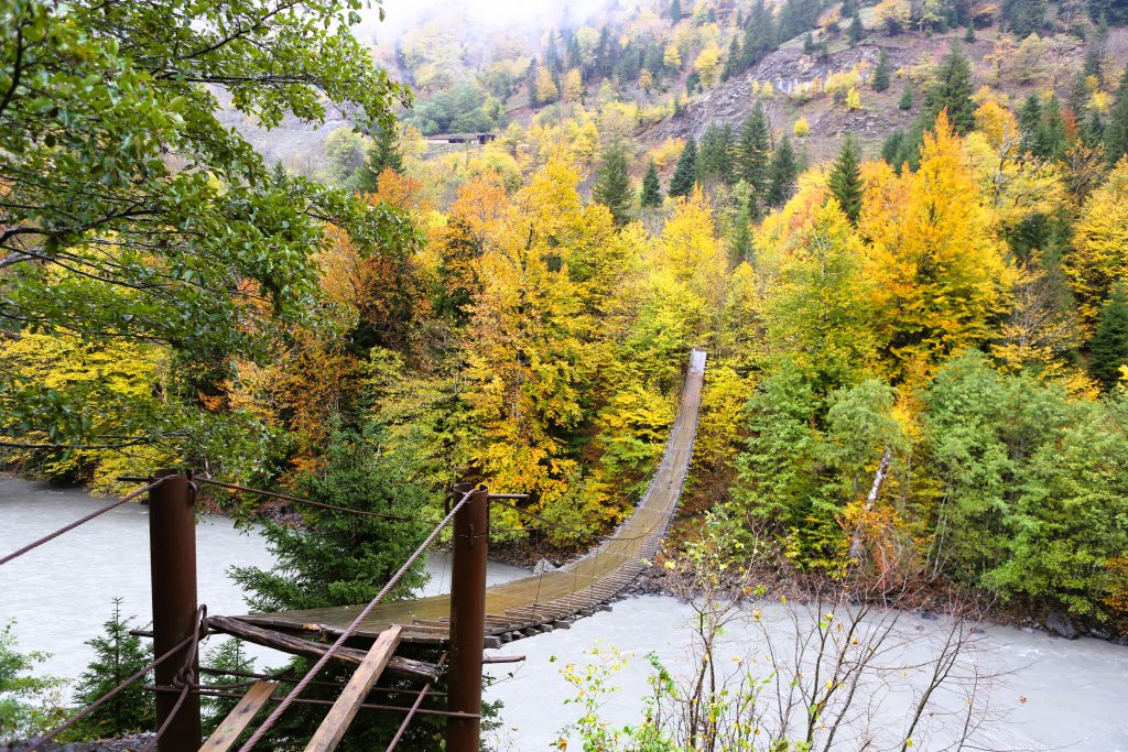 Colourful autumn scenery, on the road to Svaneti, which is located high up in the Caucasus Mountains, near the Gerorgia/ Russia border.