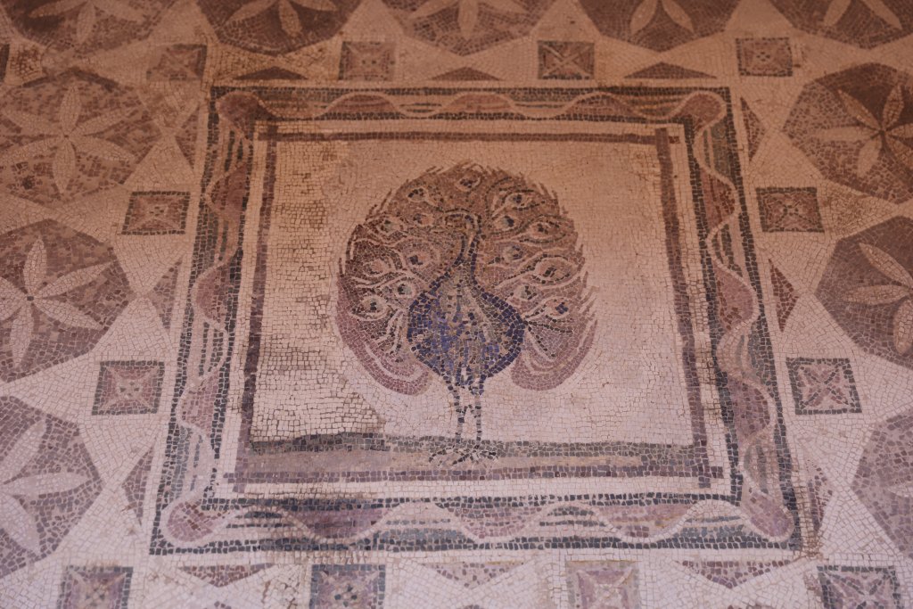 Nea Paphos is famous for its intricate mosaics that depict Greek gods, goddesses, heroes, fauna, flora and everyday life.