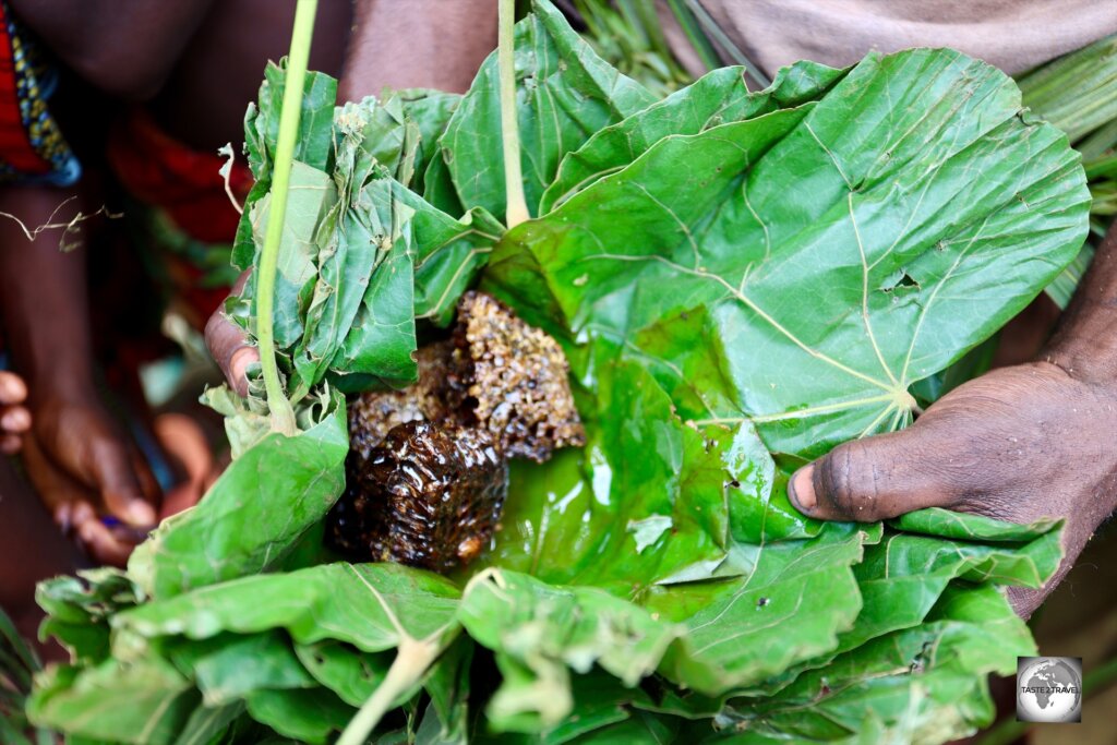 I got to taste this wild honey which was harvested by the Aka Pygmies.