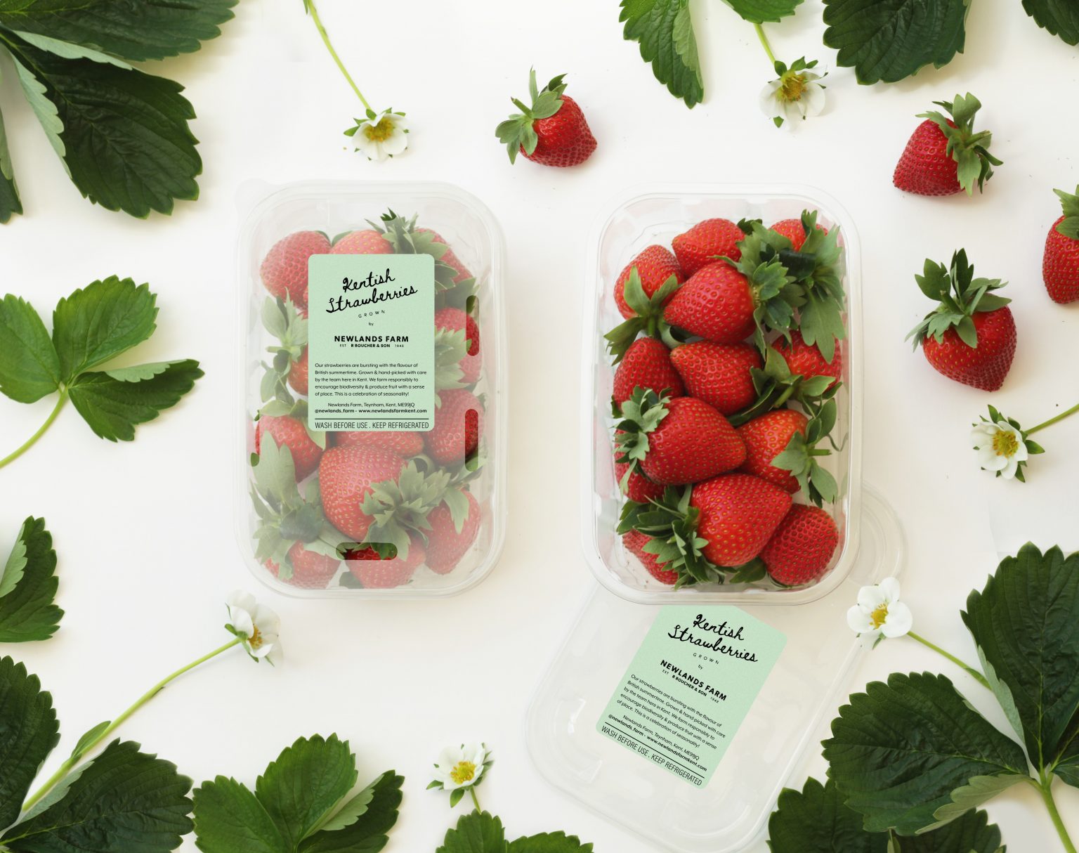 Kent’s Tastiest Soft Fruit Announced plus a boost for new App to