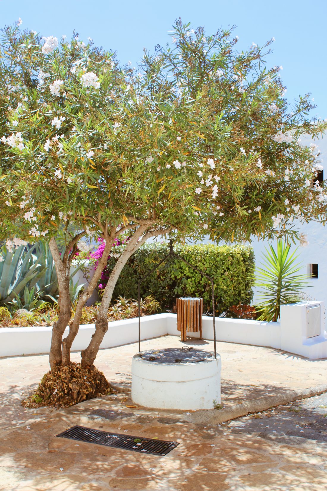 Ibiza