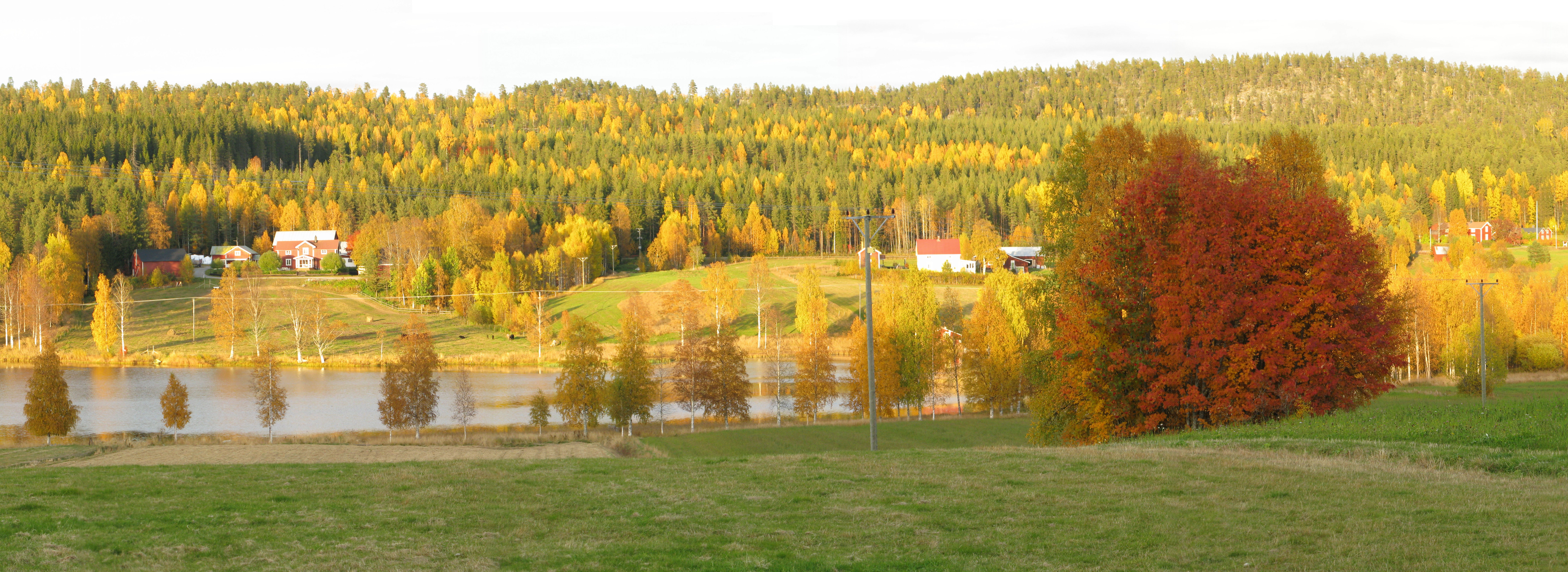 Tavelsjö Hembygdsförening