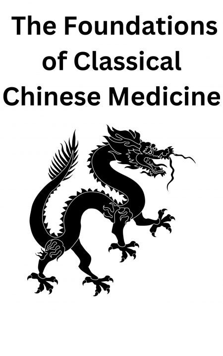 The Foundations of Classical Chinses Medicine