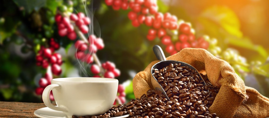 TDC-SectorFeaturedImageHD-Coffee