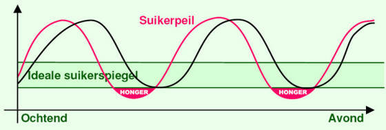 Snelle en langzame suikers