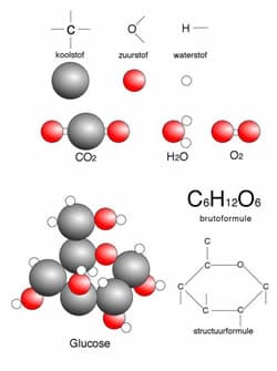 wat_zijn_koolhydraten