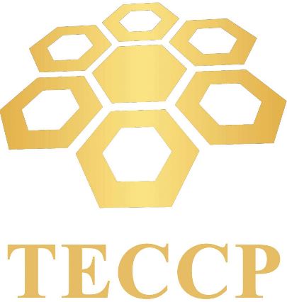 TECCP Academy