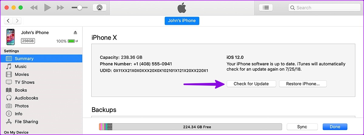 check for updates on iP