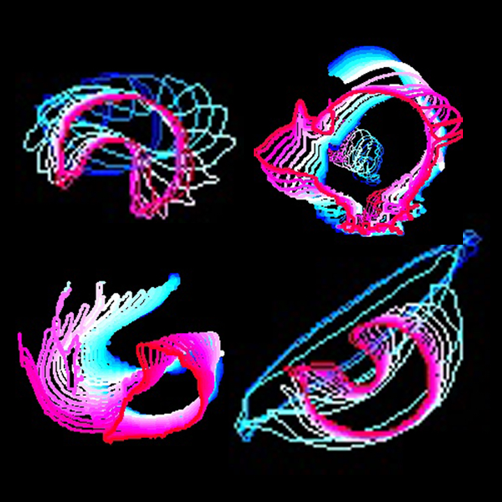 Pattern images merge outlines of an organism’s position at different timepoints to depict movement, providing a still image that increases LabGym’s accuracy in recognizing behavior types. Shown are the pattern images for mice (top right, bottom left) and Drosophila larvae (top left, bottom right). Image credit: Yujia Hu and Bing Ye, U-M Life Sciences Institute.