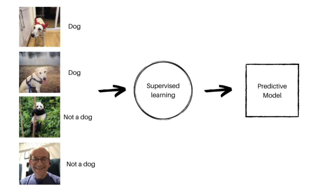 Supervised learning visual