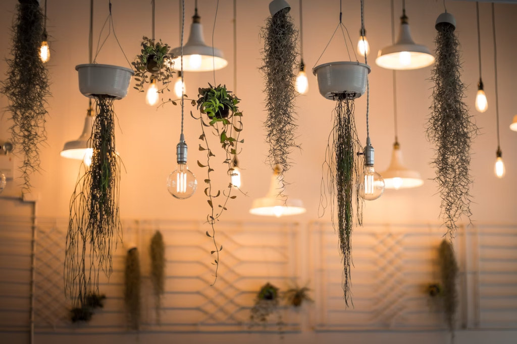 Top 7 Ways to Enhance Your Home