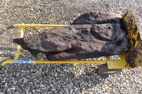 EMBARGOED TO 0001 WEDNESDAY JUNE 7 Undated handout photo issued by Historic England of the oldest decoratively carved wood in Britain, with markings made by Late Mesolithic people more than 6,000 years ago, which has been discovered during the construction of an outbuilding at a property in the historic village of Boxford in Berkshire. The large timber was carved 2,000 years before Stonehenge was built (2,500 BC) and has been dated by Historic England to the Late Mesolithic period (4640 BC - 4605 BC) Issue date: Wednesday June 7, 2023. PA Photo. See PA story SCIENCE Wood. Photo credit should read: Historic England/PA Wire NOTE TO EDITORS: This handout photo may only be used for editorial reporting purposes for the contemporaneous illustration of events, things or the people in the image or facts mentioned in the caption. Reuse of the picture may require further permission from the copyright holder.