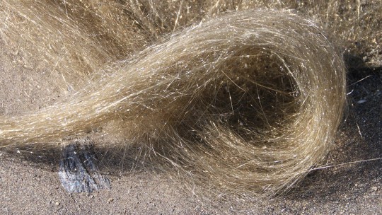 Pele's Hair