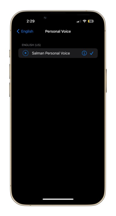 Picking up Personal Voice on iPhone.