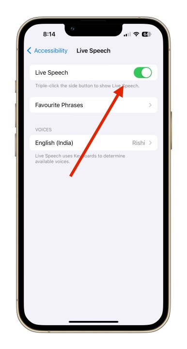 Personal Voice Feature in iOS 17 live speech.