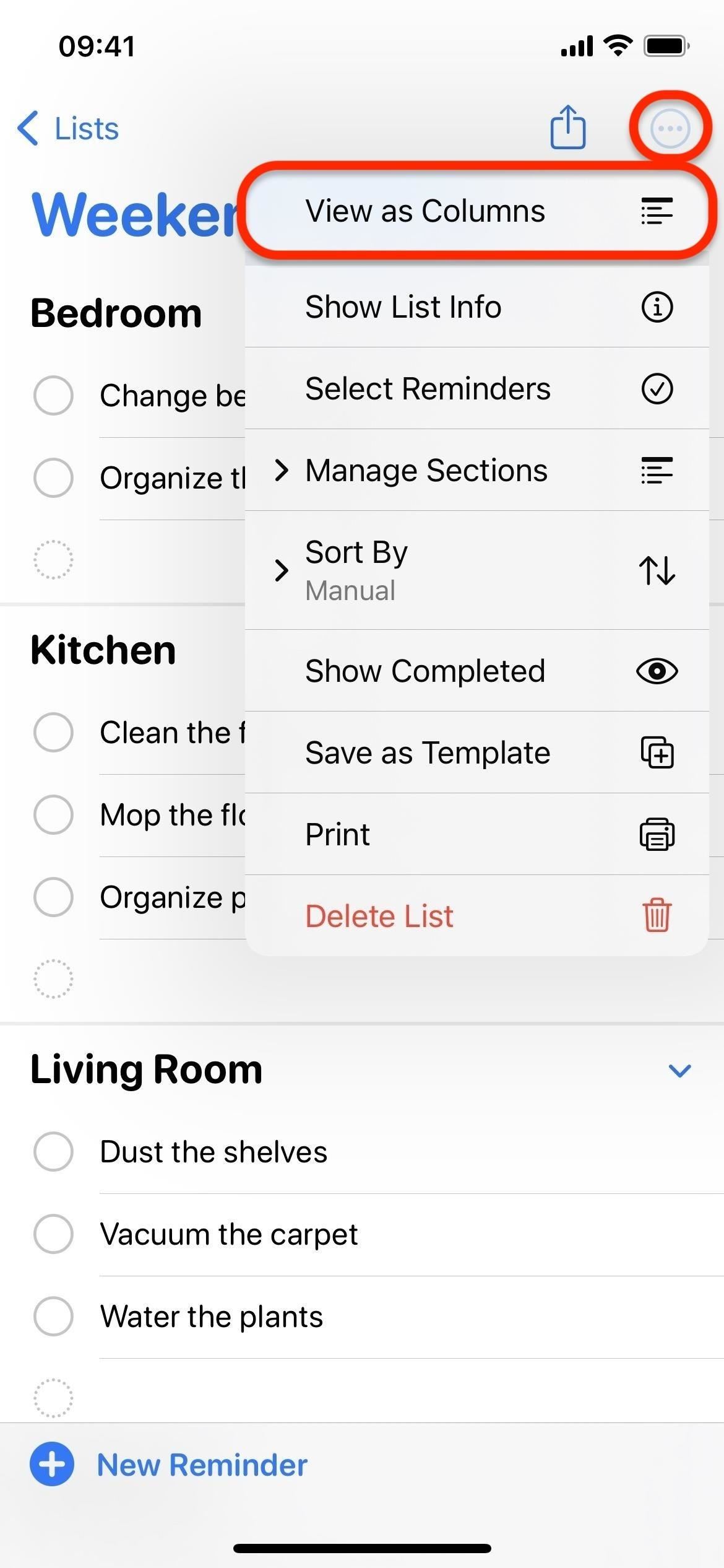 Organize Reminders by Sections and Columns on Your iPhone for More Efficient To-Do Lists