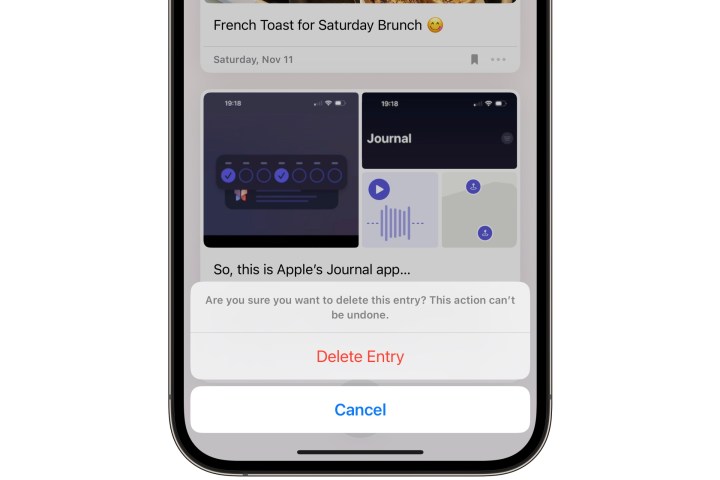 Confirming deletion of a journal entry in in iOS 17.2.