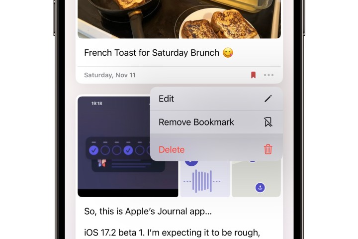 Filtering journal entries in iOS 17.2.