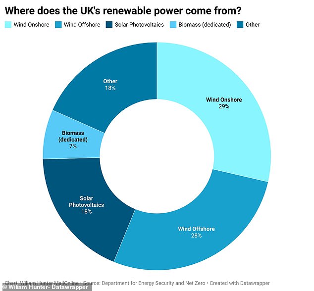 Wind power produces the most renewable energy at 56 per cent of the energy mix, followed by solar photovoltaics at 18 per cent