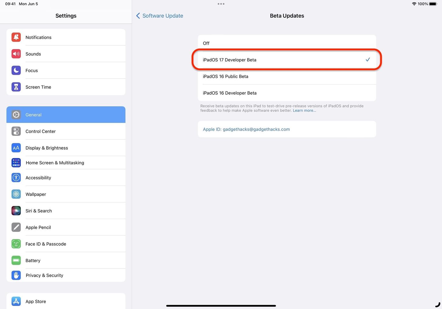 How to Download and Install iPadOS 17.4 Beta to Try New iPad Features Before Everyone Else