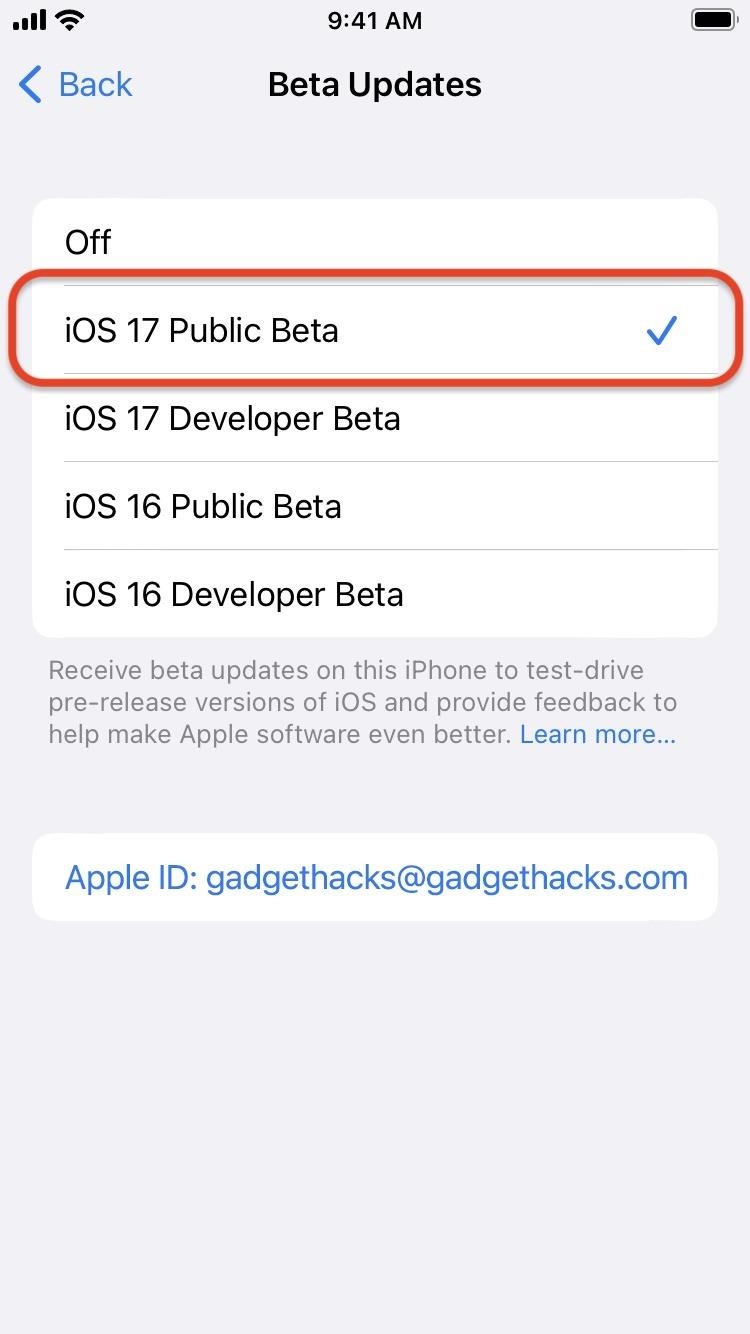 How to Download and Install iOS 17.4 Beta to Try New iPhone Features First