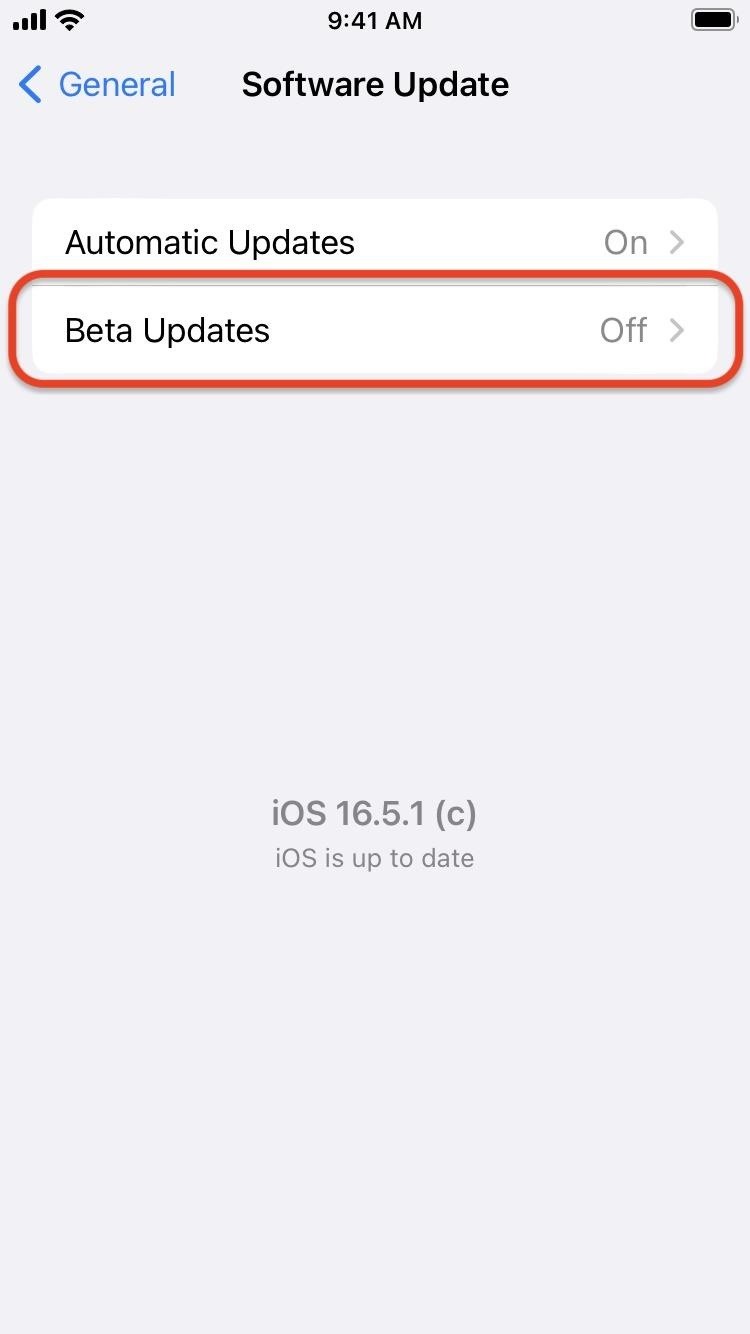 How to Download and Install iOS 17.4 Beta to Try New iPhone Features First