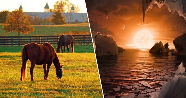 Kentucky horses and an alien landscape