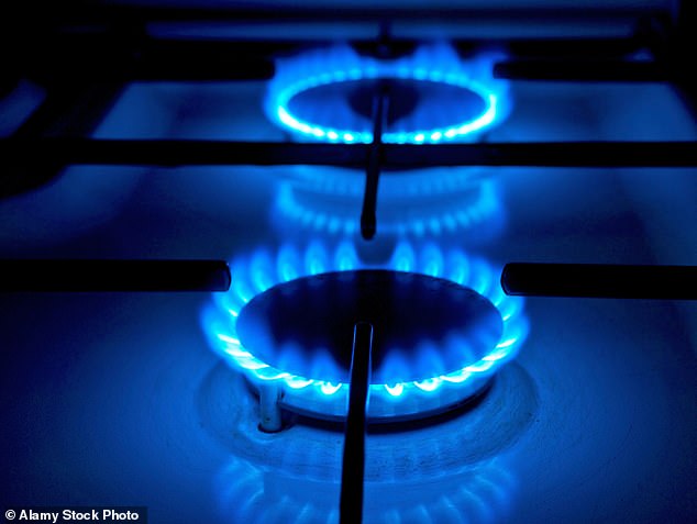 Scientists like Louis Anthony Cox Jr. have attacked gas stove regulations for not being based on sound science