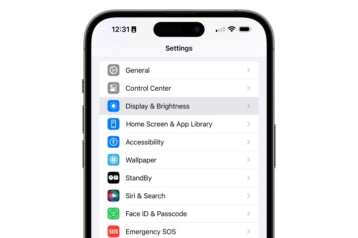 iPhone showing Settings app with Display and Brightness highlighted.