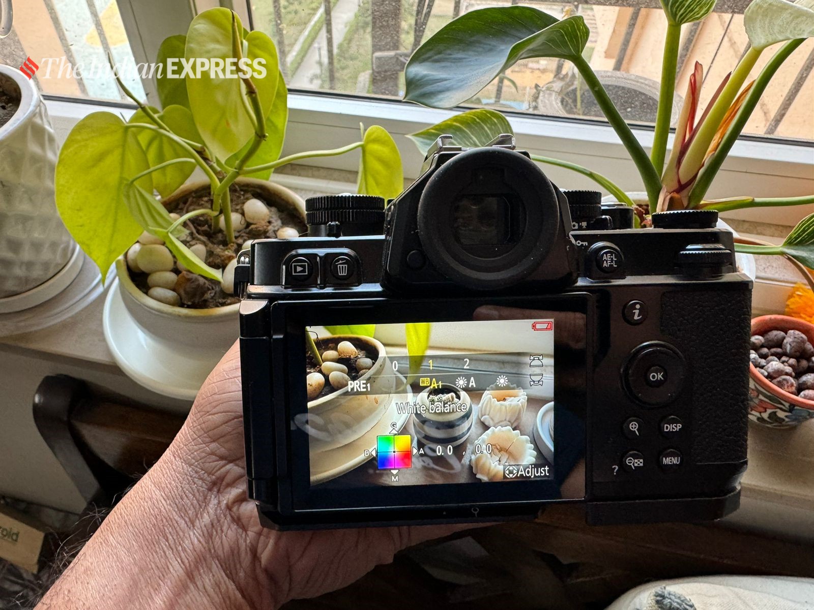 Nikon Zf camera review