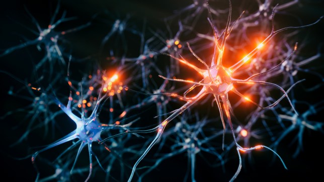 Neuron system disease illustration
