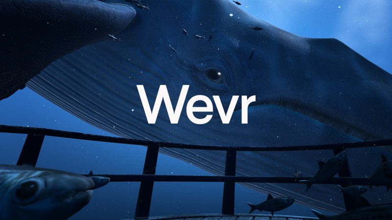 Wevr made VR experiences like TheBlu.