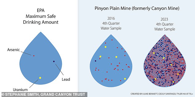 Grand Canyon Trust reported that Pinyon Plain Mine¿s water contained uranium that was six times the maximum contaminant level considered safe for drinking - while lead was 243 times the allowed amount and arsenic was 812 times the limit