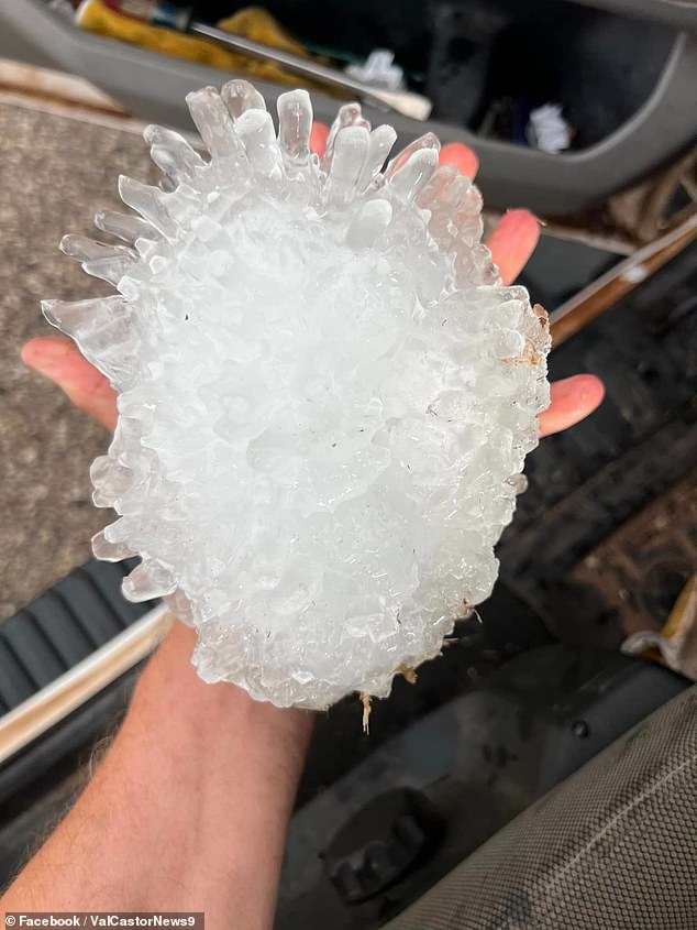 Texas was also hit by hail that was roughly the size of a pineapple (pictured)