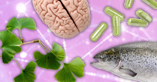 Composite showing ginkgo biloba leak, fish and tablets