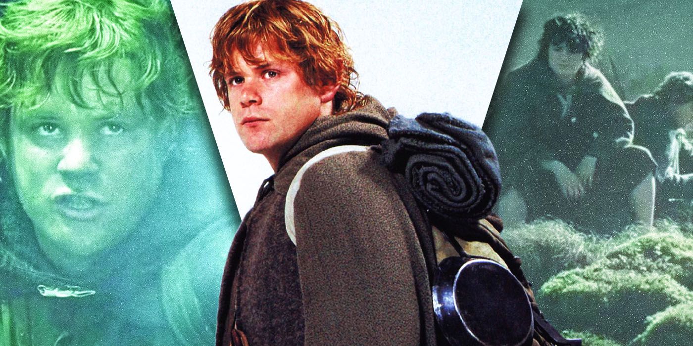 Split Images of Samwise Gamgee (Sean Astin) from The Lord of the Rings are spliced together into one, custom image.