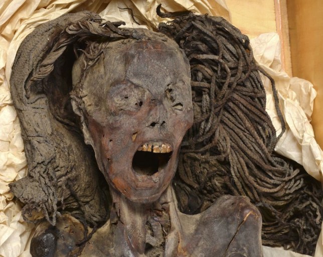 *EMBARGOED UNTIL 05.15 BST, FRIDAY AUGUST 2 (00.15 ET)* The Screaming Woman mummy. Photo released August 1 2024.A mummy known as the 'Screaming Woman' may have died in agony 3,500 years ago, suggests new research.The Egyptian woman was embalmed with expensive imported ingredients - suggesting her expression was caused by pain rather than poor embalming, say scientists.In Deir Elbahari near Luxor, the site of ancient Thebes, In 1935, an archaeological expedition excavated the tomb of Senmut, the architect and overseer of royal works ? and reputedly, lover ? of the famed queen Hatschepsut. Beneath Senmut's tomb, they found a separate burial chamber for his mother Hat-Nufer and other, unidentified relatives.